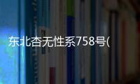 東北杏無性系758號(關于東北杏無性系758號簡述)