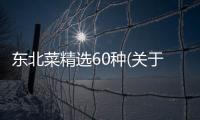 東北菜精選60種(關于東北菜精選60種簡述)