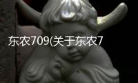 東農709(關于東農709簡述)