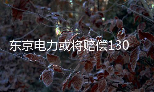 東京電力或將賠償1300億美元