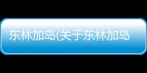 東林加島(關于東林加島簡述)