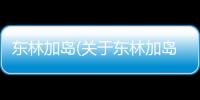 東林加島(關于東林加島簡述)