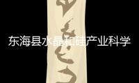 東海縣水晶和硅產業科學發展，造就水晶之都,行業資訊
