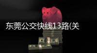 東莞公交快線13路(關(guān)于東莞公交快線13路簡述)