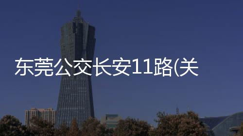 東莞公交長安11路(關于東莞公交長安11路簡述)