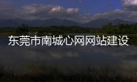 東莞市南城心網網站建設公司(關于東莞市南城心網網站建設公司簡述)