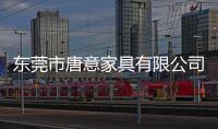 東莞市唐意家具有限公司(關于東莞市唐意家具有限公司簡述)