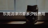 東莞請律師要多少錢費用（東莞請律師要多少錢）