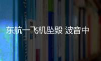 東航一飛機墜毀 波音中國回應：正在收集更多信息