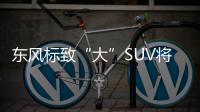 東風標致“大”SUV將上市 車身明顯加長