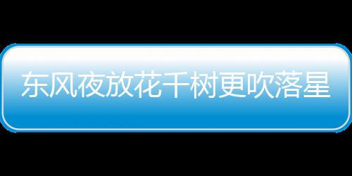 東風夜放花千樹更吹落星如雨是什么節日怒發沖冠
