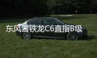 東風(fēng)雪鐵龍C6直指B級(jí)車市場 窺視誰的份額