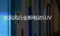 東風(fēng)風(fēng)行全新電動SUV 定位A0級/命名為T1 ev