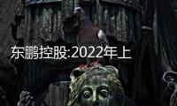 東鵬控股:2022年上半年凈利1.18億元 同比下降69.45%