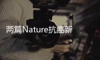 兩篇Nature抗癌新突破：表觀遺傳新靶點——NSD3