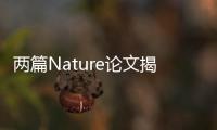 兩篇Nature論文揭示，和有錢人做朋友能提高收入