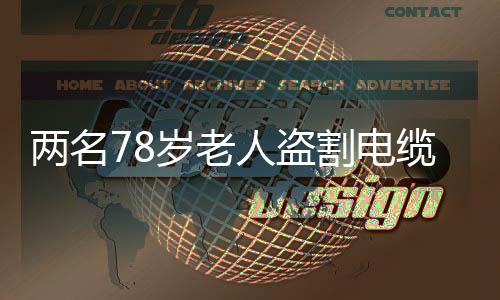 兩名78歲老人盜割電纜致勝利油田46口油井停產