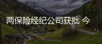 兩保險經紀公司獲批 今年中介牌照企業已達14家