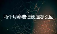 兩個月泰迪便便濕怎么回事？兩個月泰迪便便濕的正常嗎