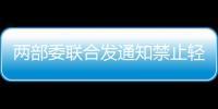 兩部委聯(lián)合發(fā)通知禁止輕型貨車“大噸小標(biāo)”