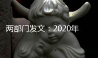 兩部門發(fā)文：2020年3月底前全國各地必須建成疫苗信息化追溯體系