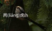 兩(liǎng)虎(hǔ)相(xiāng)斗(dǒu)可以這樣理解嗎?