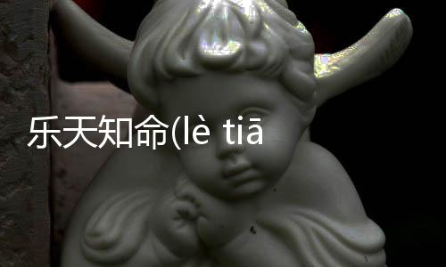 樂天知命(lè tiān zhī mìng)網友會有什么評論？