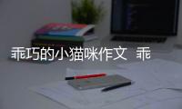 乖巧的小貓咪作文  乖巧的小貓作文300字