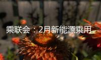 乘聯(lián)會：2月新能源乘用車銷售2.9萬輛