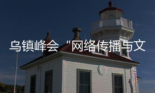 烏鎮峰會“網絡傳播與文明交流互鑒”論壇9日舉辦