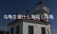 烏龜生蛋什么表現（烏龜生蛋什么兆頭）