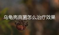 烏龜殼真菌怎么治療效果好？烏龜殼真菌感染怎么辦