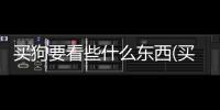 買狗要看些什么東西(買狗需要看什么)