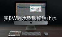 買(mǎi)BW遇水膨脹橡膠止水條去哪里