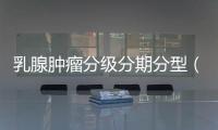 乳腺腫瘤分級分期分型（乳腺腫瘤）