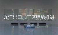 九江出口加工區強勢推進產業集群發展,行業資訊