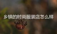 鄉鎮的時尚服裝店怎么樣,鄉鎮的時尚服裝店怎么樣啊