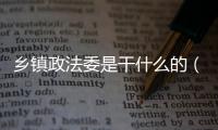 鄉鎮政法委是干什么的（政法委是干什么的）