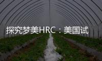 探究夢美HRC：美國試管嬰兒適合六類人群