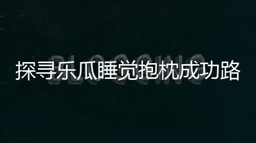 探尋樂瓜睡覺抱枕成功路徑,如何成為護睡用品界新星