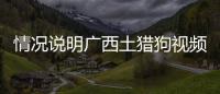 情況說明廣西土獵狗視頻與廣西河池土獵狗獵野豬的原因