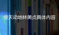 驚天動地林美貞具體內容是什么?