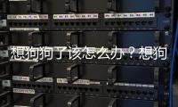 想狗狗了該怎么辦？想狗狗了老想哭怎么回事