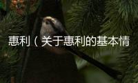 惠利（關(guān)于惠利的基本情況說(shuō)明介紹）