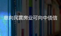 意向民營房業(yè)可向中債信用增進公司提出增信需求