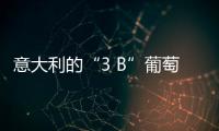 意大利的“3 B”葡萄酒簡介