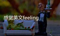 感覺英文feeling（感覺英文）