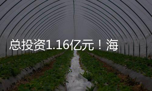 總投資1.16億元！海寧這個現代化新校區落成！今秋招新！