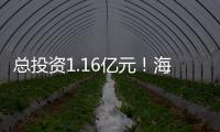 總投資1.16億元！海寧這個現代化新校區落成！今秋招新！