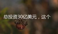 總投資30億美元，這個OLED驅動芯片項目泡湯了